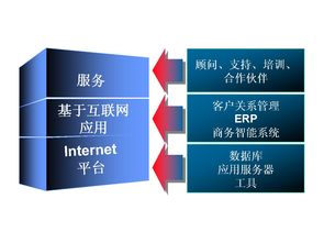 Oracle電子商務(wù)平臺建設(shè)與CRM客戶管理系統(tǒng)整合方案建議書